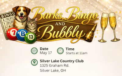 Barks, Bingo, and Bubbly
