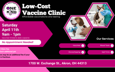 Low-Cost Vaccine Clinic