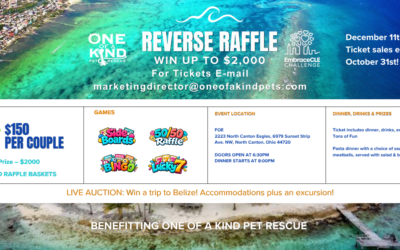 Reverse Raffle