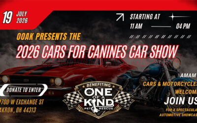 Cars for Canines Car Show