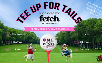 Tee Up For Tails