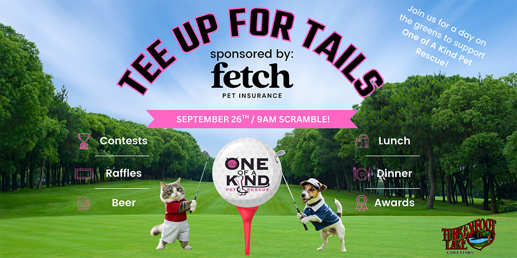 SITE_IMAGES_1024x512_EVENT_TeeUpForTails_2026-0609
