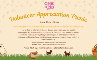 Volunteer Appreciation Picnic