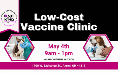 Low-Cost Vaccine Clinic