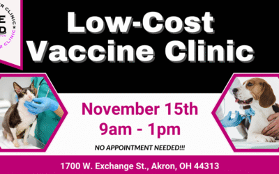 Low-Cost Vaccine Clinic