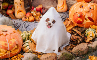 Trunk or Treat