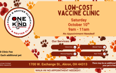Low-Cost Vaccine Clinic