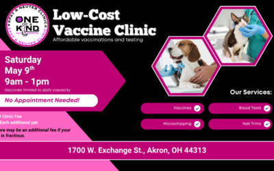 Low-Cost Vaccine Clinic