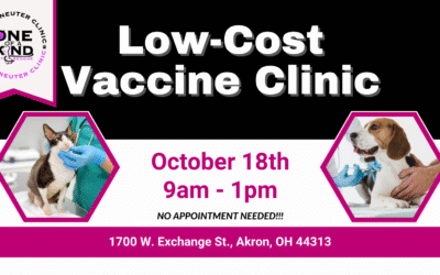 Low-Cost Vaccine Clinic